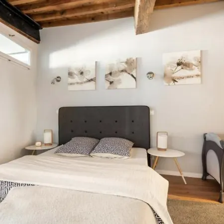 Au Coeur De La Vieille Annecy